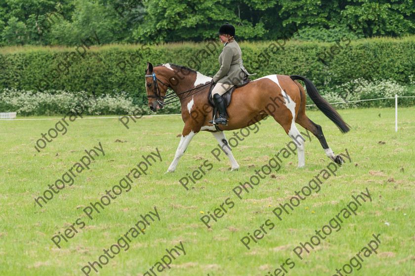 Ring 2 Afternoon 011 
 Naphill Riding Club Open Show 
 Keywords: Naphill Riding Club, Open Show, Equestrian, Piers Photography,
Bucks Wedding Photographer