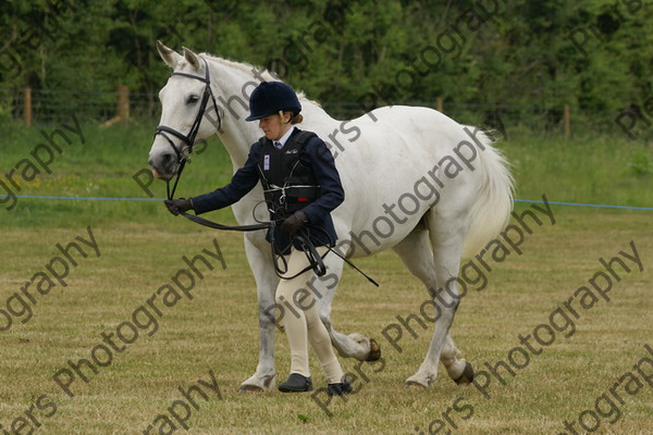 Ridden Veteran Horse 033 
 NRCS Class 23 Ridden Veteran Horse