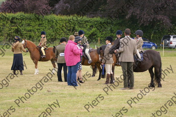 Leading Rein 12 
 NRCS Class 17 Leading Rein