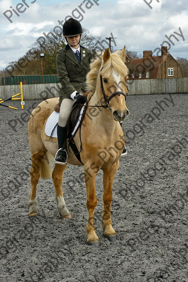 Class 2 53 
 SONY DSC 
 Keywords: Pyatts, Show jumping