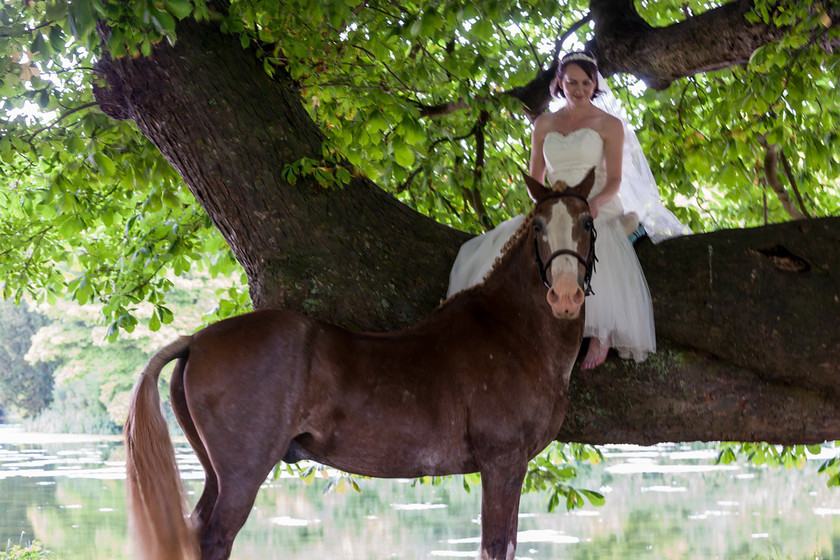 WWE Bridal tree 041 
 West Wycombe Horse shoot 
 Keywords: Buckinghamshire wedding photographer, Horses, Piers Photo, Summer, West Wycombe House