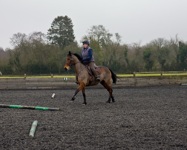 Ollie and Blyth Lesson 23 
 Ollie and Blyth Lesson 
 Keywords: Piers Photo, Moses Plat Yard, Ollie, Blyth, Mary Hilder, Jo Reynolds