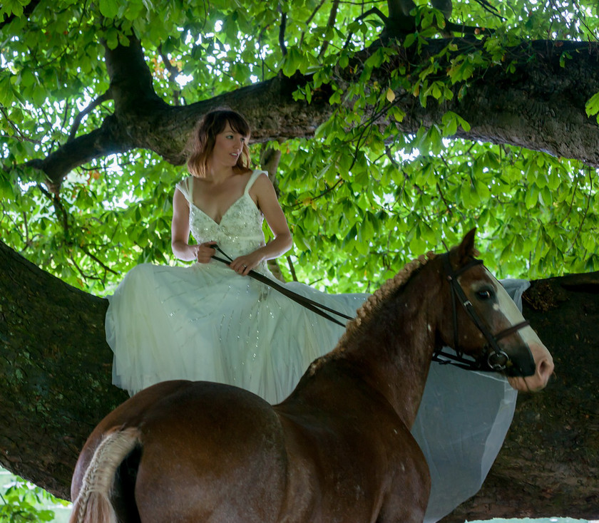 WWE Bridal tree 038 
 West Wycombe Horse shoot 
 Keywords: Buckinghamshire wedding photographer, Horses, Piers Photo, Summer, West Wycombe House