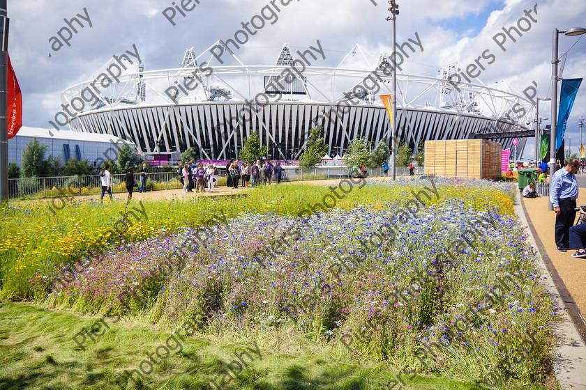 Olympics 018 
 Olympic Park and Handball 
 Keywords: Olympics, handball, Copper Box, Cadburys, PiersPhotos