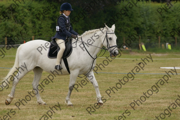 Ridden Veteran Horse 005 
 NRCS Class 23 Ridden Veteran Horse