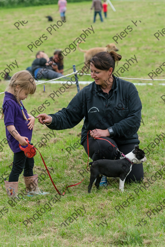 NRC Dog Show 018 
 Naphill Riding Club Open Show 
 Keywords: Naphill Riding Club, Open Show, Equestrian, Piers Photography, Bucks Wedding Photographer