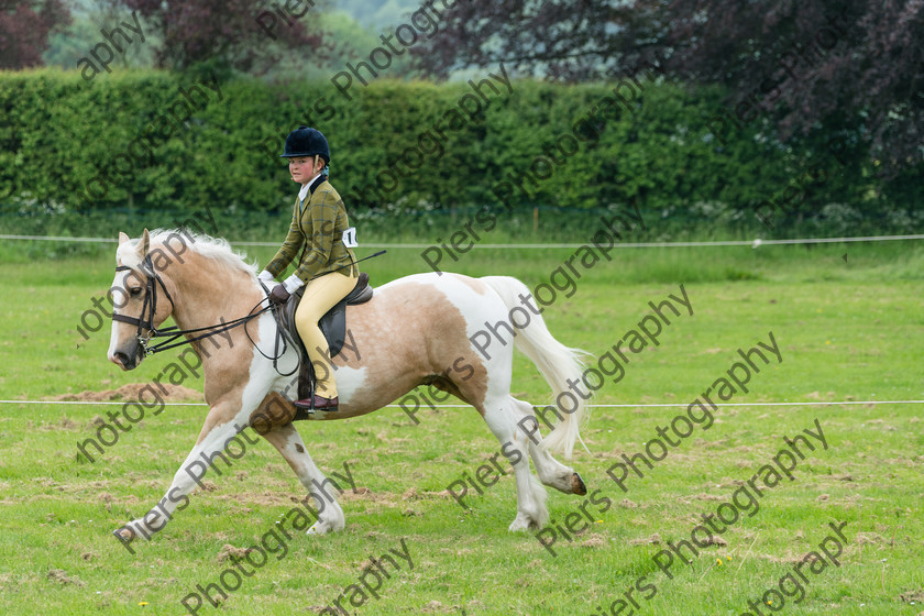 Ring 2 Afternoon 018 
 Naphill Riding Club Open Show 
 Keywords: Naphill Riding Club, Open Show, Equestrian, Piers Photography,
Bucks Wedding Photographer