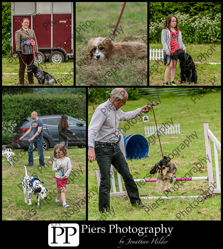 FB1 
 Keywords: Naphill Riding Club, Open Show, Equestrian, Piers Photography, Bucks Wedding Photographer