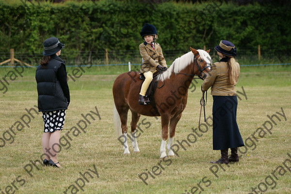 Leading Rein 36 
 NRCS Class 17 Leading Rein