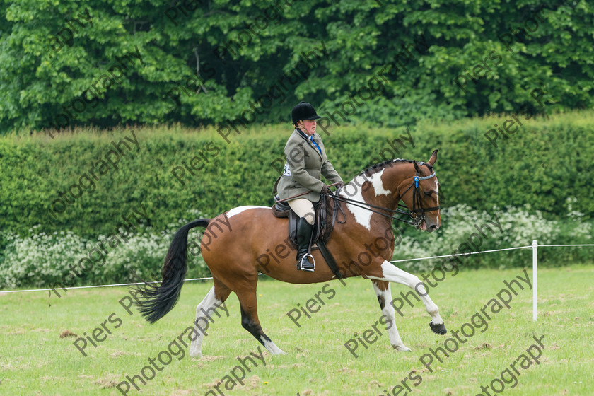 Ring 2 Afternoon 004 
 Naphill Riding Club Open Show 
 Keywords: Naphill Riding Club, Open Show, Equestrian, Piers Photography,
Bucks Wedding Photographer