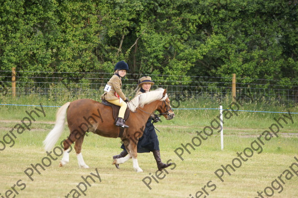 Leading Rein 15 
 NRCS Class 17 Leading Rein