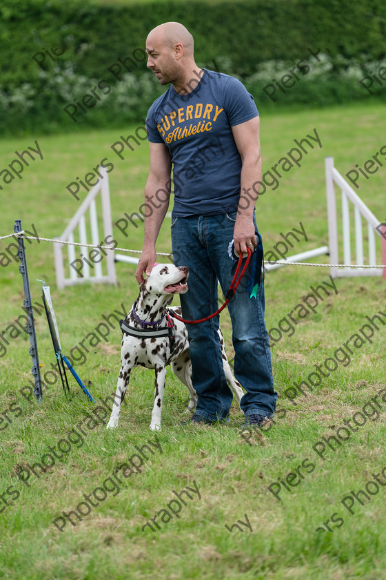 NRC Dog Show 043 
 Naphill Riding Club Open Show 
 Keywords: Naphill Riding Club, Open Show, Equestrian, Piers Photography, Bucks Wedding Photographer