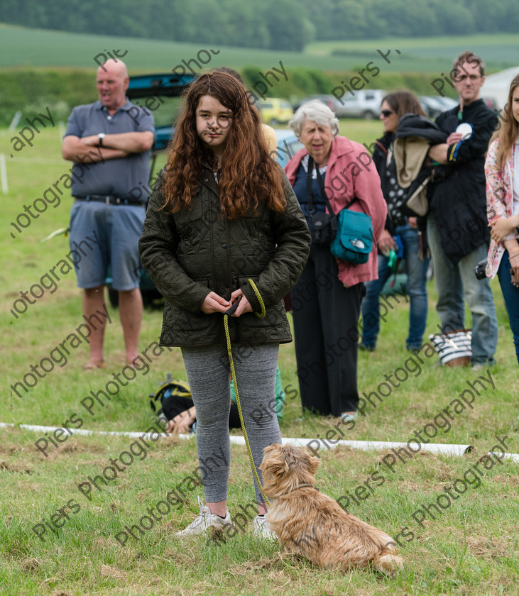 NRC Dog Show 045 
 Naphill Riding Club Open Show 
 Keywords: Naphill Riding Club, Open Show, Equestrian, Piers Photography, Bucks Wedding Photographer