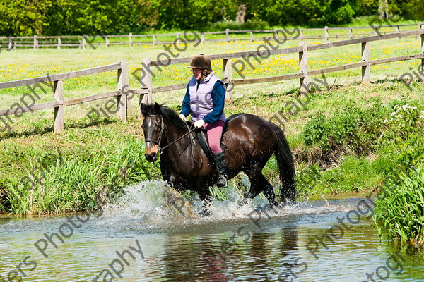 NRCWWE09 075 
 Naphill Riding Club West Wycombe Ride 09 
 Keywords: Naphill Riding Club, West Wycombe Estate