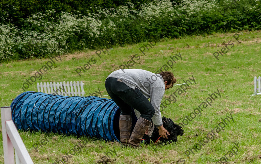 NRC Dog Show 077 
 Naphill Riding Club Open Show 
 Keywords: Naphill Riding Club, Open Show, Equestrian, Piers Photography, Bucks Wedding Photographer