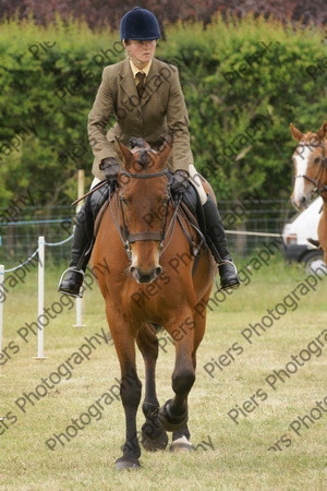 Ridden Veteran Horse 016 
 NRCS Class 23 Ridden Veteran Horse