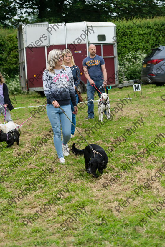 NRC Dog Show 032 
 Naphill Riding Club Open Show 
 Keywords: Naphill Riding Club, Open Show, Equestrian, Piers Photography, Bucks Wedding Photographer