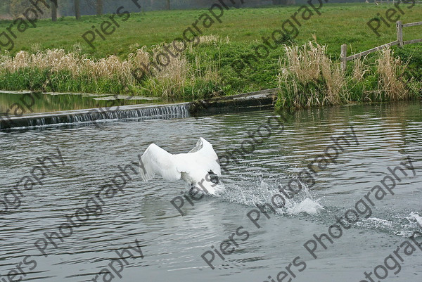 NRC WWE08 18 
 Naphill Riding Club at WWE 
 Keywords: Naphill Riding Club, West Wycombe, water