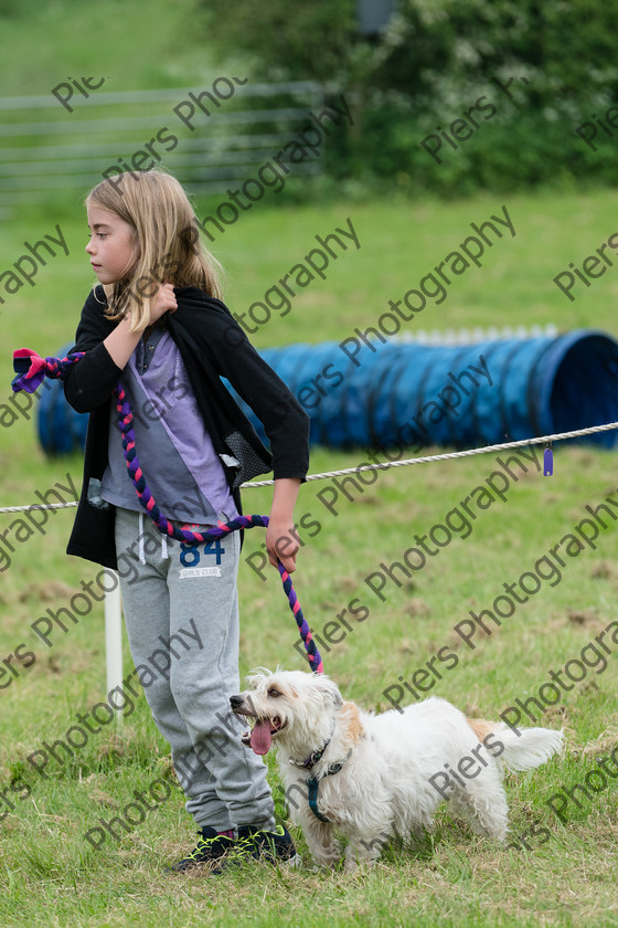 NRC Dog Show 042 
 Naphill Riding Club Open Show 
 Keywords: Naphill Riding Club, Open Show, Equestrian, Piers Photography, Bucks Wedding Photographer