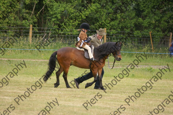 Leading Rein 17 
 NRCS Class 17 Leading Rein