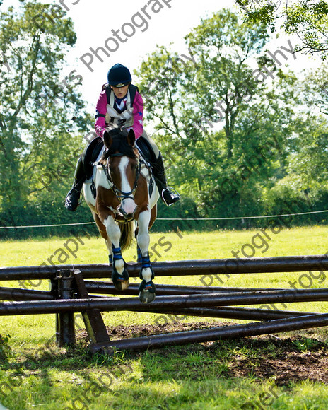 LSE horse trials 037 
 LSE Horse trials 
 Keywords: London and South East Horse Trials, Piers Photo