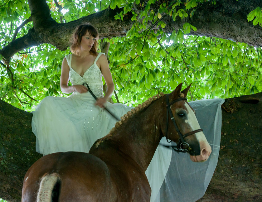 WWE Bridal tree 037 
 West Wycombe Horse shoot 
 Keywords: Buckinghamshire wedding photographer, Horses, Piers Photo, Summer, West Wycombe House