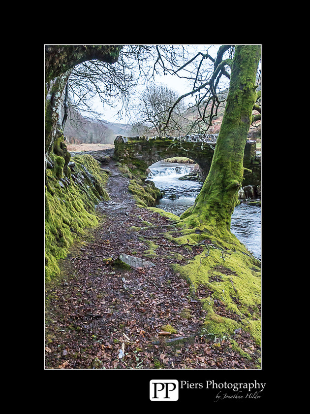 FB2 
 Keywords: Buckingahmshire wedding photographer, Exmoor, Piers Photography, Withypool, the Devon and Somerset Stag Hounds