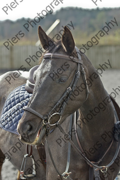 Class 1 02 
 SONY DSC 
 Keywords: Pyatts, Show jumping