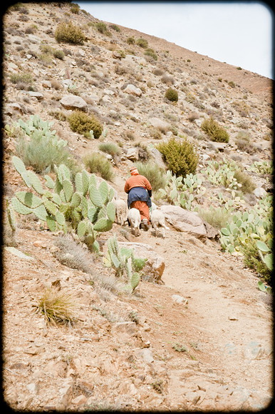 Atlas Mountains Trip 047 
 Keywords: Marrakesh, Morocco, Piers Photography