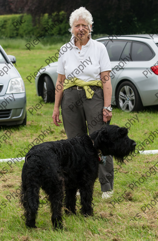 NRC Dog Show 048 
 Naphill Riding Club Open Show 
 Keywords: Naphill Riding Club, Open Show, Equestrian, Piers Photography, Bucks Wedding Photographer