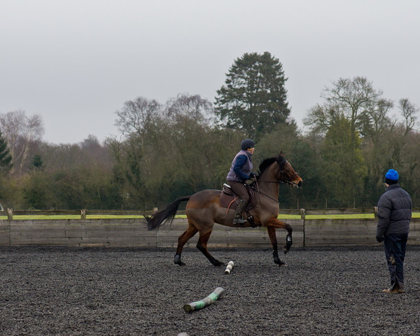 Ollie and Blyth Lesson 17 
 Ollie and Blyth Lesson 
 Keywords: Piers Photo, Moses Plat Yard, Ollie, Blyth, Mary Hilder, Jo Reynolds