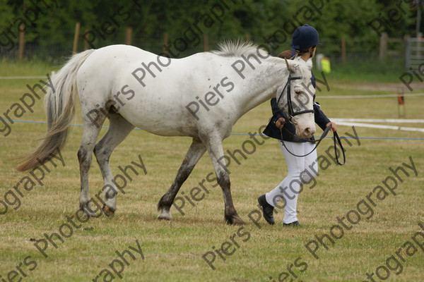 In Hnad Veteran Horse 02 
 NRCS Class 22 In Hand Veteran Horse