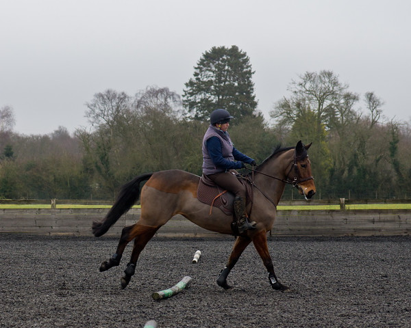 Ollie and Blyth Lesson 14 
 Ollie and Blyth Lesson 
 Keywords: Piers Photo, Moses Plat Yard, Ollie, Blyth, Mary Hilder, Jo Reynolds