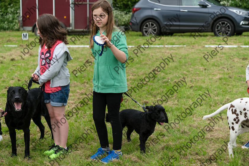 NRC Dog Show 021 
 Naphill Riding Club Open Show 
 Keywords: Naphill Riding Club, Open Show, Equestrian, Piers Photography, Bucks Wedding Photographer