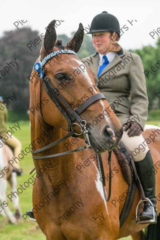 Ring 2 Afternoon 034 
 Naphill Riding Club Open Show 
 Keywords: Naphill Riding Club, Open Show, Equestrian, Piers Photography,
Bucks Wedding Photographer