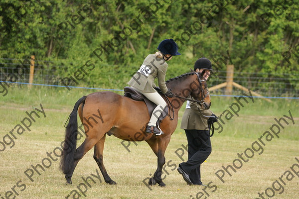 Leading Rein 09 
 NRCS Class 17 Leading Rein