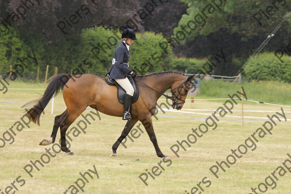 Ridden Veteran Horse 027 
 NRCS Class 23 Ridden Veteran Horse