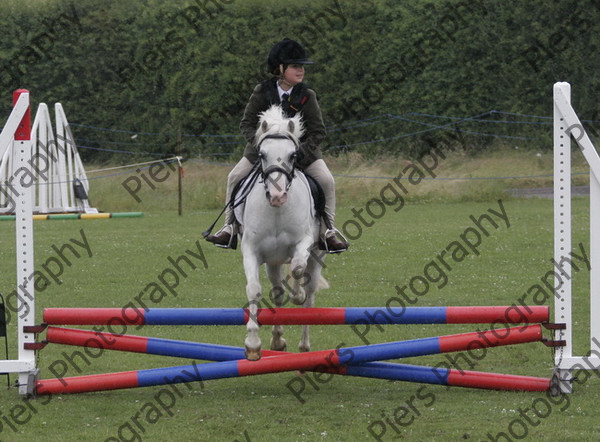 RS 4533 
 Naphill Riding Club Show July 2008