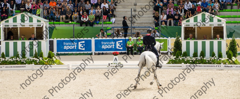 Freestle dressage WEG 020 
 WEG 2014 Freestyle dressage