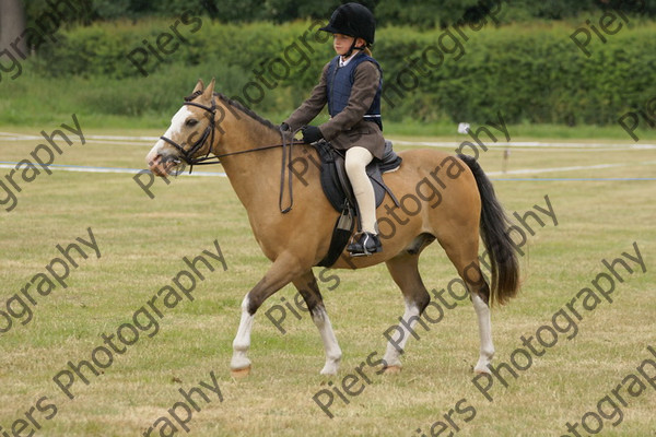 Ridden Veteran Horse 028 
 NRCS Class 23 Ridden Veteran Horse