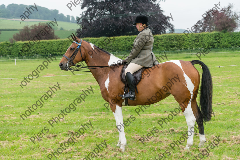 Ring 2 Afternoon 035 
 Naphill Riding Club Open Show 
 Keywords: Naphill Riding Club, Open Show, Equestrian, Piers Photography,
Bucks Wedding Photographer