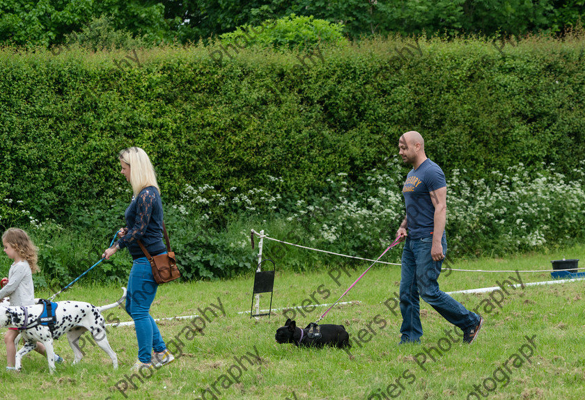 NRC Dog Show 004 
 Naphill Riding Club Open Show 
 Keywords: Naphill Riding Club, Open Show, Equestrian, Piers Photography, Bucks Wedding Photographer