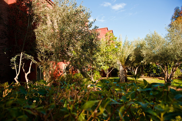 Morroco Hotel 003 
 Keywords: Marrakesh, Morocco, Piers Photography