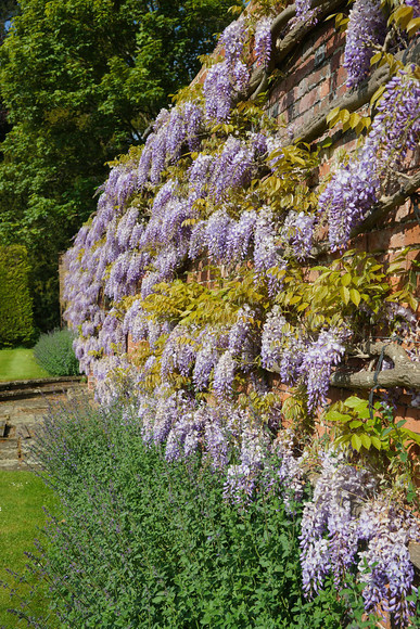 Adwell House 08 
 Adwell House May 2013 
 Keywords: Adwell House, Piers Photos, gardens