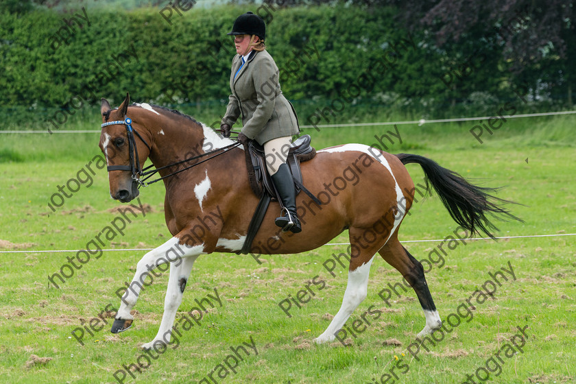 Ring 2 Afternoon 016 
 Naphill Riding Club Open Show 
 Keywords: Naphill Riding Club, Open Show, Equestrian, Piers Photography,
Bucks Wedding Photographer