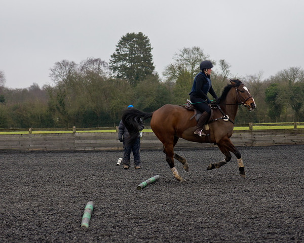 Ollie and Blyth Lesson 19 
 Ollie and Blyth Lesson 
 Keywords: Piers Photo, Moses Plat Yard, Ollie, Blyth, Mary Hilder, Jo Reynolds