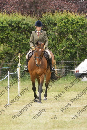 Ridden Veteran Horse 018 
 NRCS Class 23 Ridden Veteran Horse