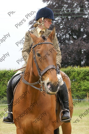 Ridden Veteran Horse 042 
 NRCS Class 23 Ridden Veteran Horse