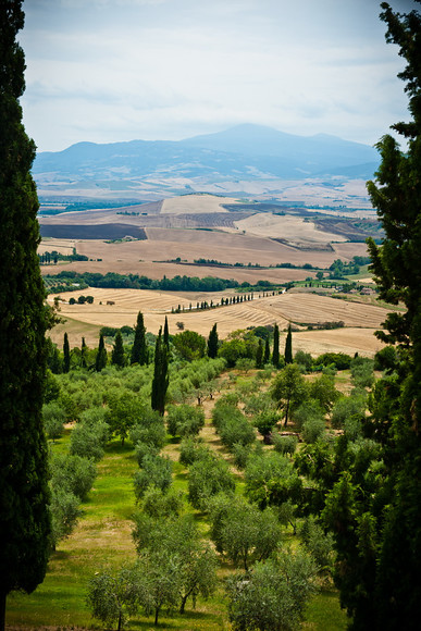 Italian Hols 366 
 Pienza