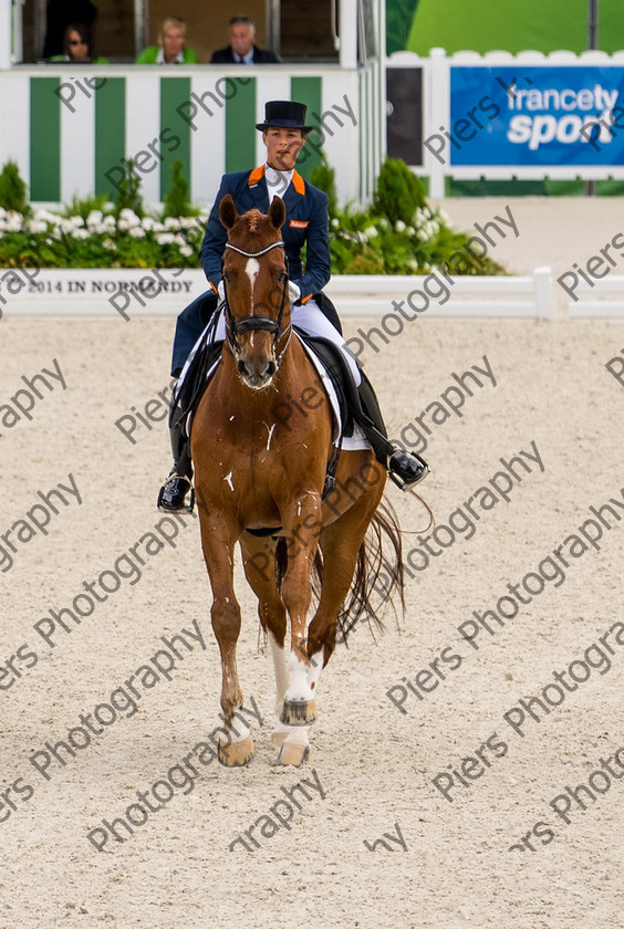 Freestle dressage WEG 054 
 WEG 2014 Freestyle dressage